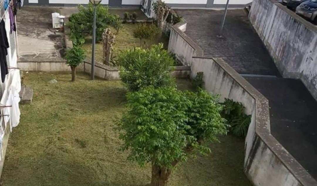 Apartamento Orquidea Ponta Delgada  Exterior photo